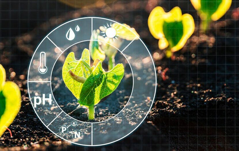 Gestão de dados no campo para a redução dos impactos do clima 2 mpress